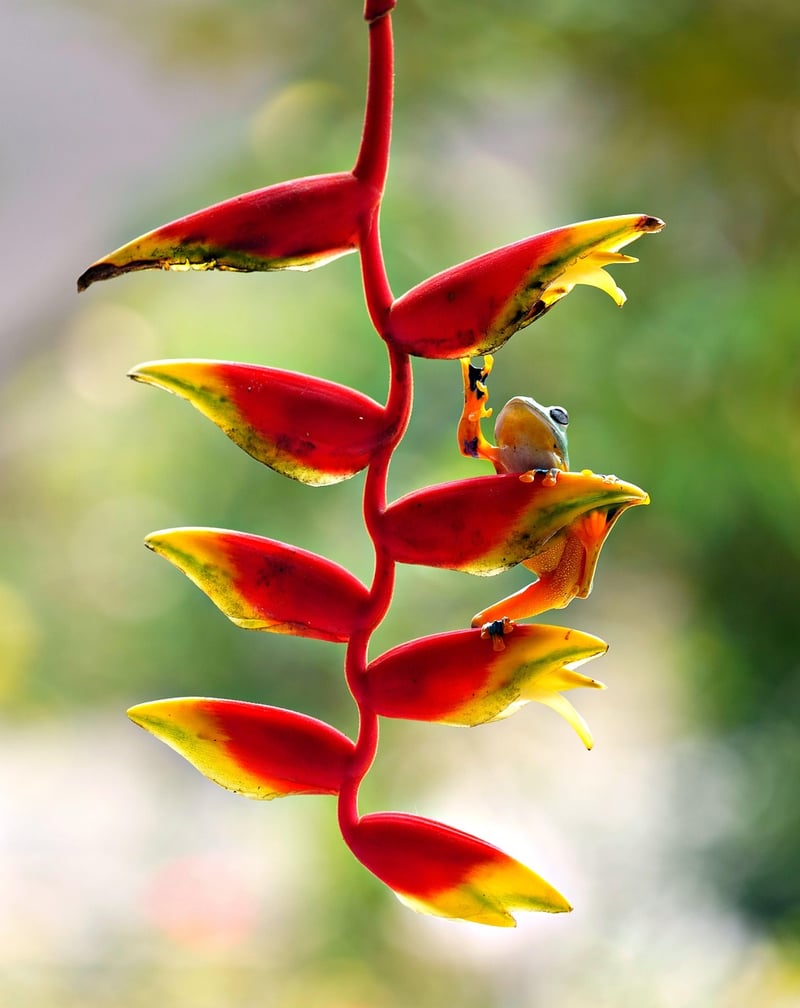 Vertical Garden Image 1